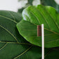 Natural Bamboo Antibacterial Toothbrushes Set of 12 pieces - Earth Thanks