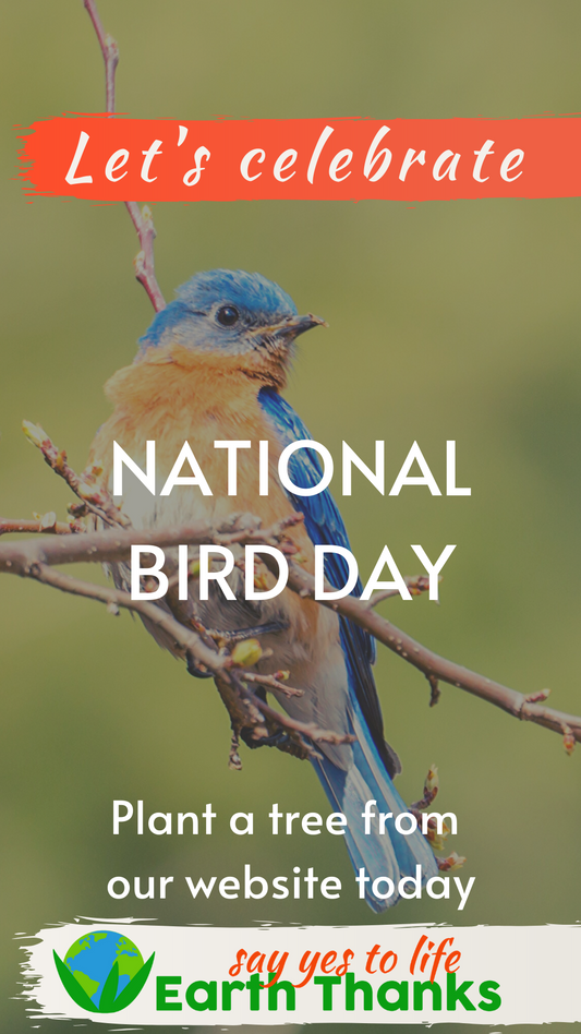 National Bird Day 5 January