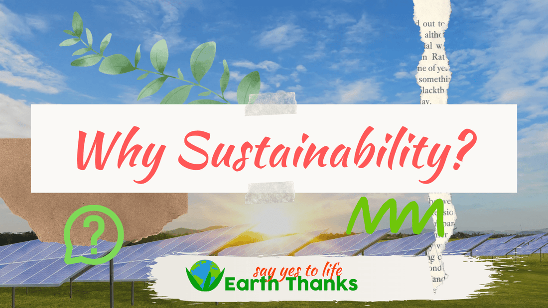 Why Sustainability Matters: Creating a Better Future for All - Earth Thanks - sustainability , natural, vegan, eco-friendly, organic, sustainable living