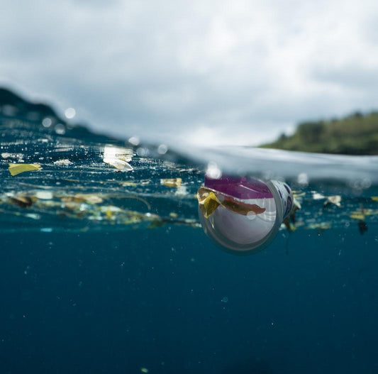 Plastics increase acidity of oceans