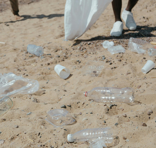 Plastic Free July: Embracing a Sustainable Future
