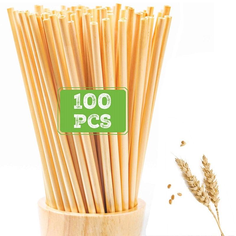 Natural Bamboo Straw, Compostable Wooden Drinking Straw 10's - Go-Compost  Drinking Straw