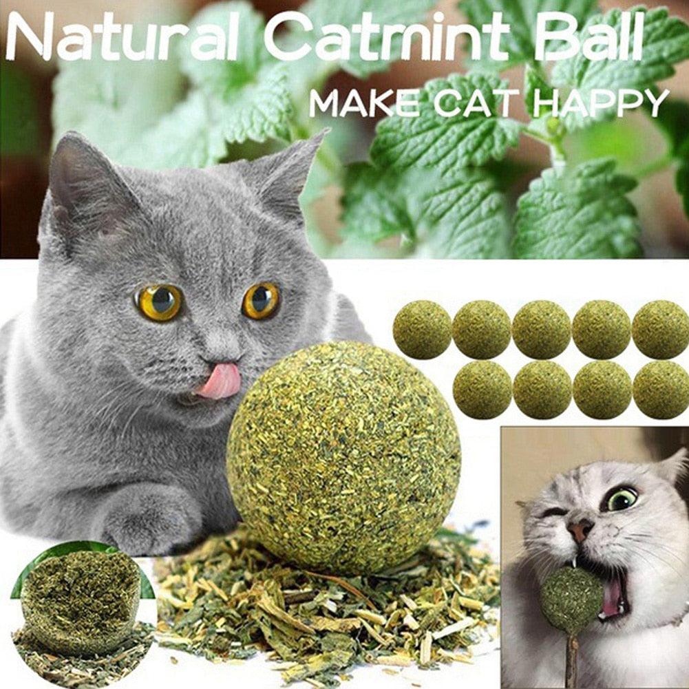 Palla giocattolo commestibile Catnip - L'ultimo giocattolo per gatti sostenibile e sicuro