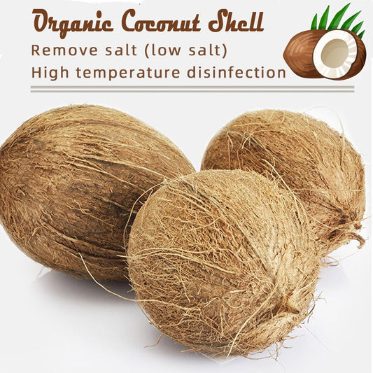 Organic Coconut Shell Granules - Improve Plant Growth