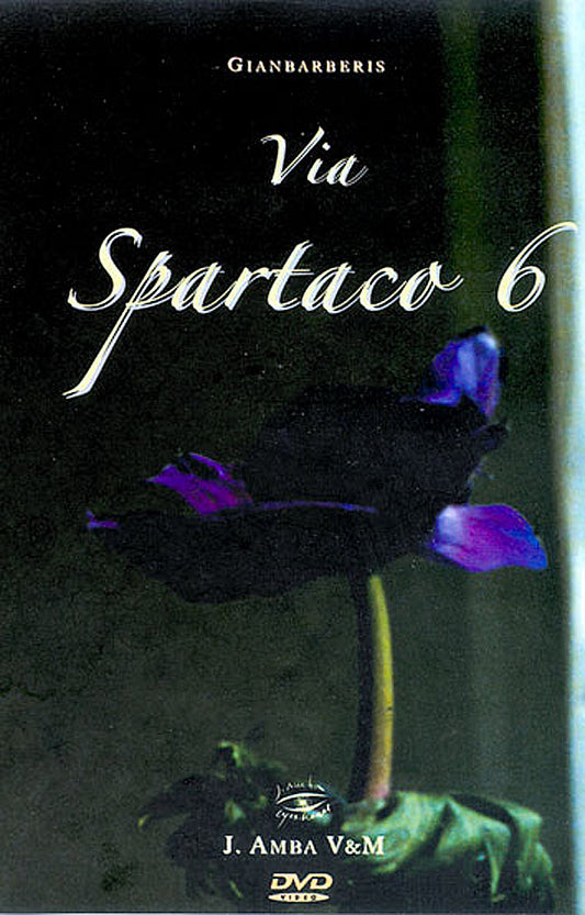 Via Spartaco 6 Milano - Soft Dreams of Milan - Photographic Journey Film