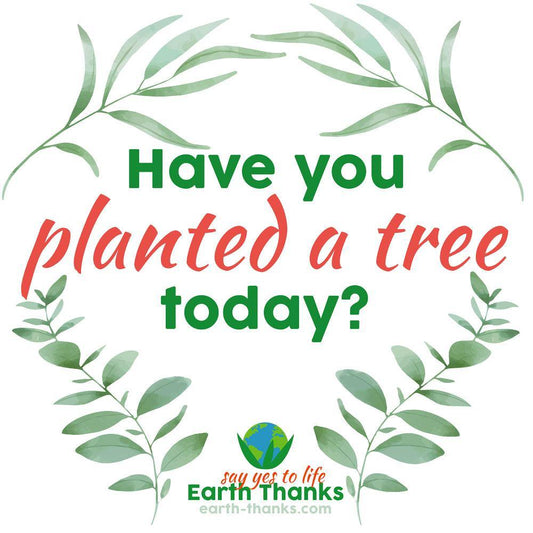 Have you planted a tree today? Short-Sleeve Unisex T-Shirt - Earth Thanks - Have you planted a tree today? Short-Sleeve Unisex T-Shirt - natural, vegan, eco-friendly, organic, sustainable, apparel, city wear, clothes, cotton, fashion, garment, man, men, non toxic, organic, organic cotton, recyclable, recycle, recycle friendly, reusable, soft, unisex, vegan friendly, wardrobe, woman, women